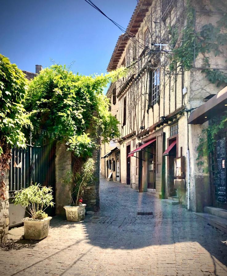 La Maison d'Alix, à l'intérieur de la Cité médiévale! Carcasona Exterior foto